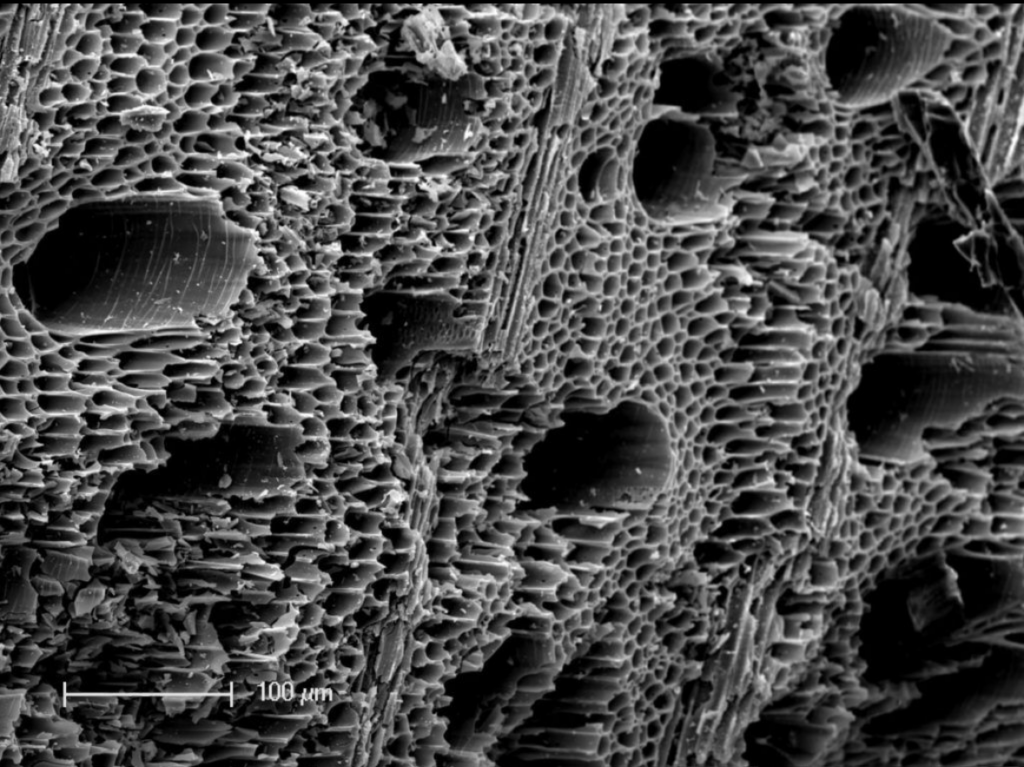 Biochar