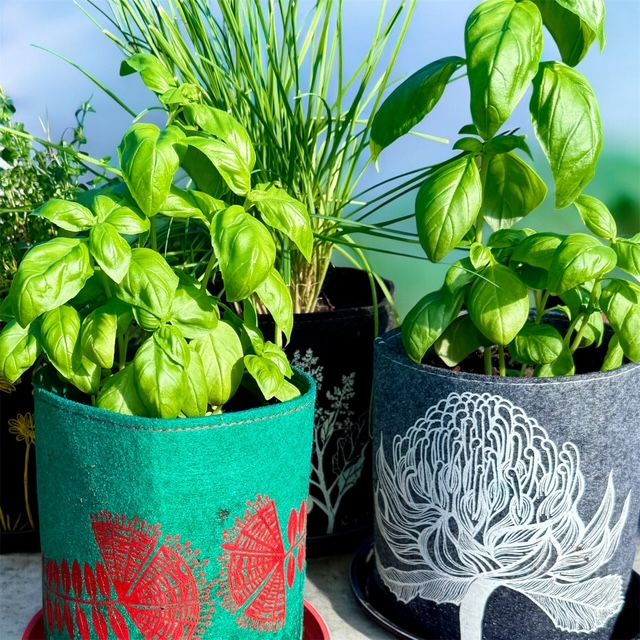Ecofelt Grow Bags - by Jo Luping Design - Image 2