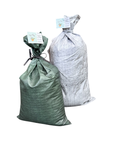 Biochar