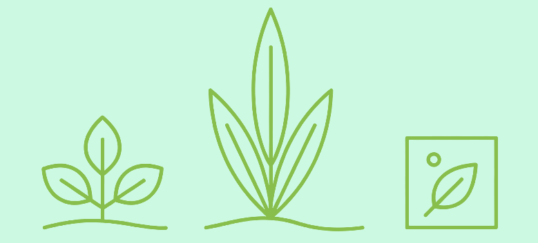 biochar_feeding_soil_microbes_growing_kai